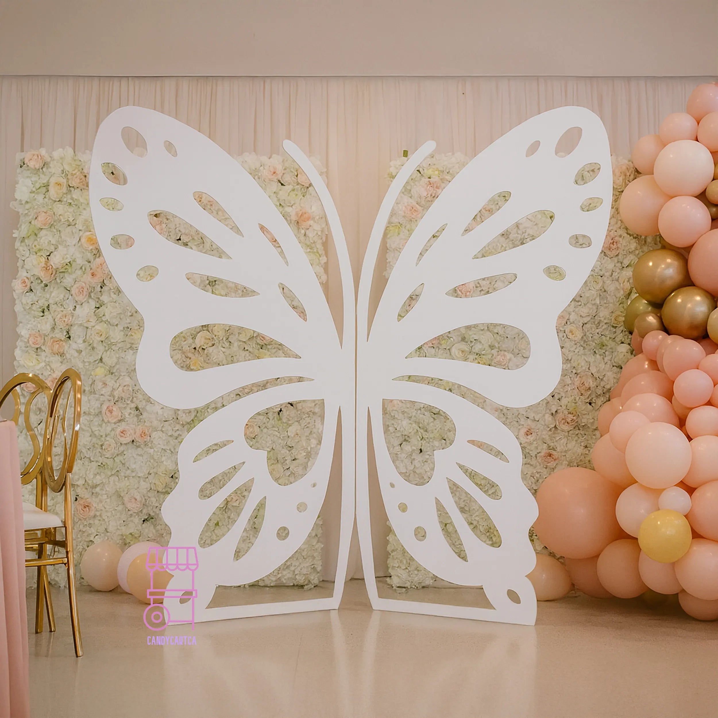 Telón de fondo de mariposa | Fondo de fiesta de 6 pies