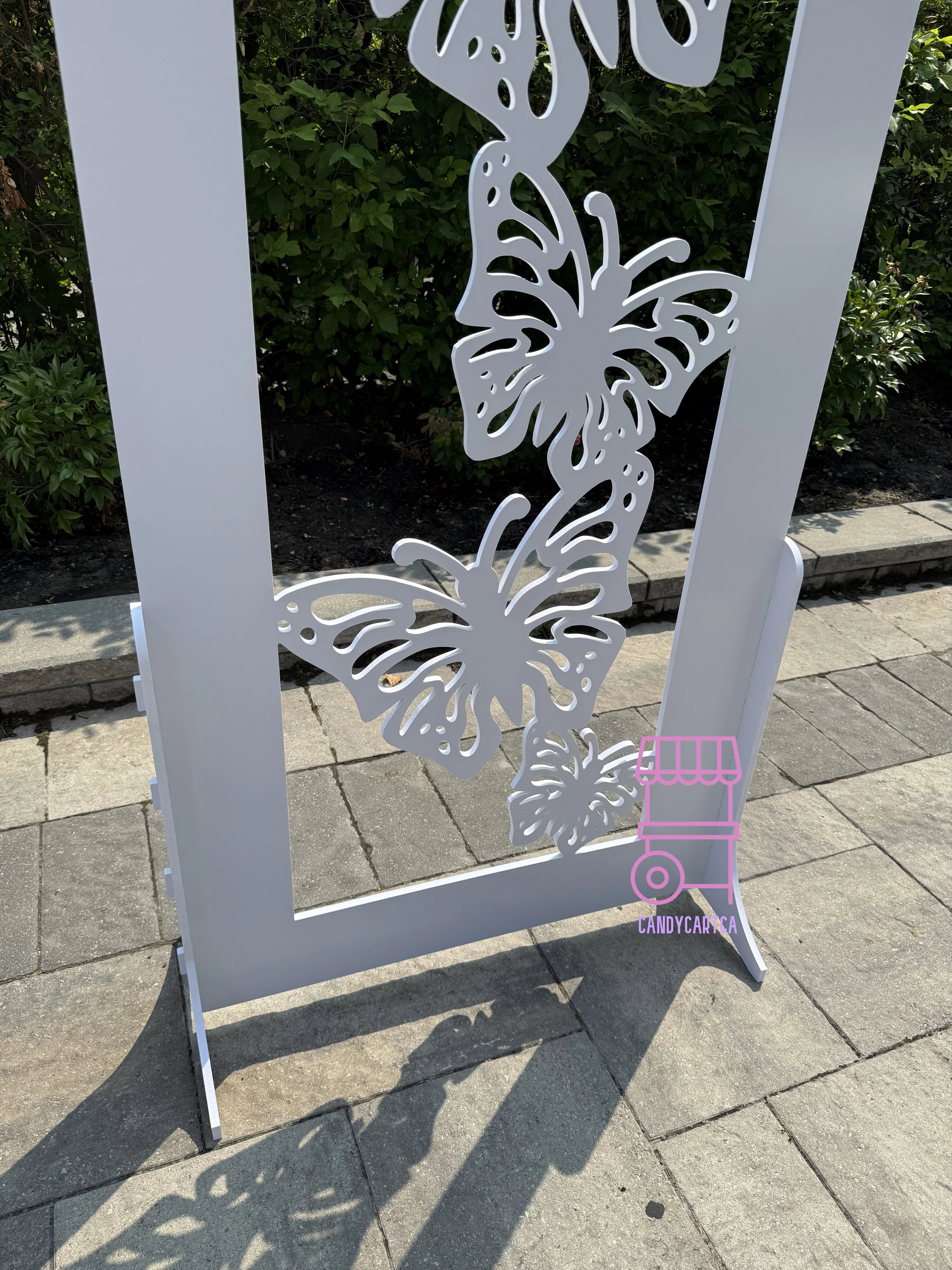 Butterfly Arch Backdrop