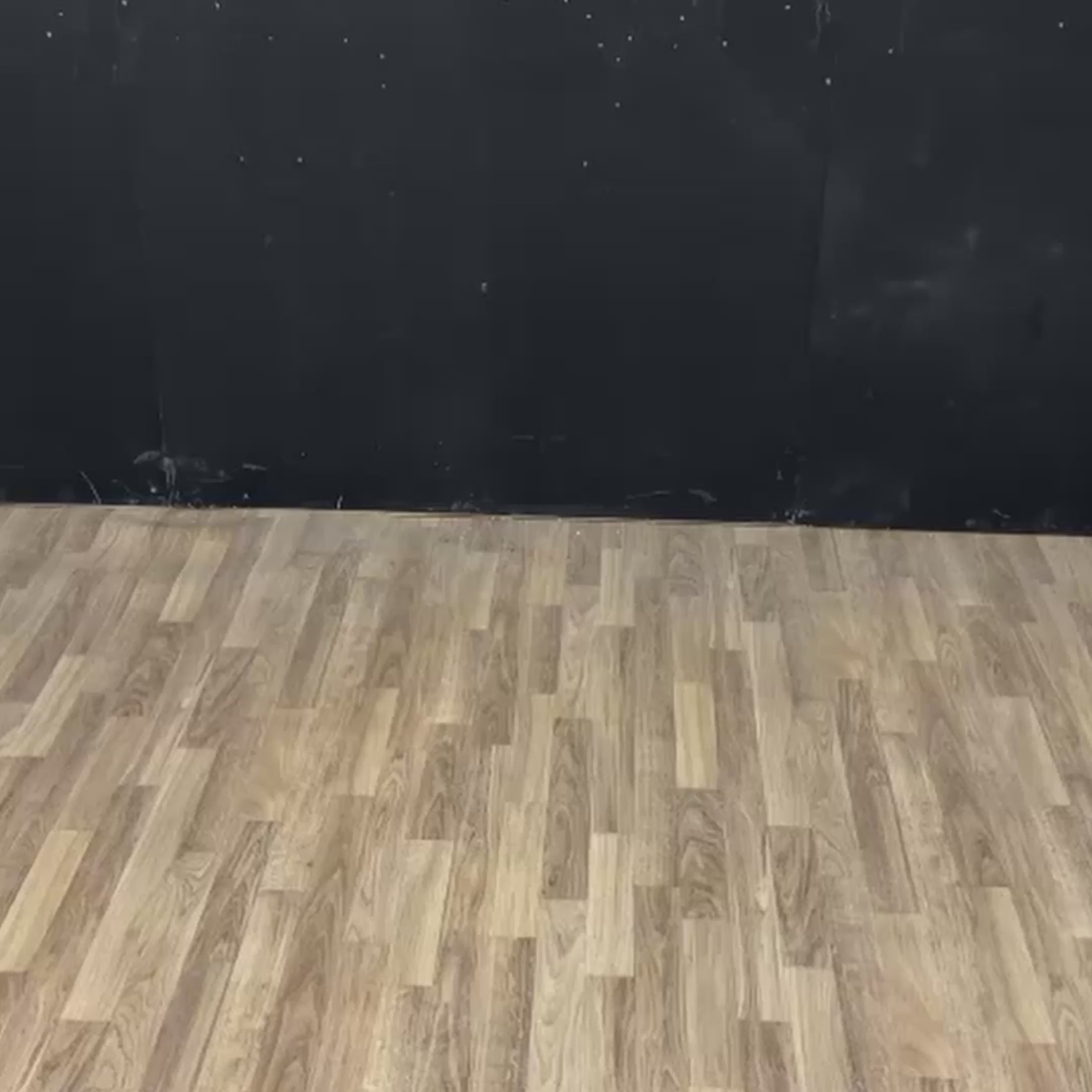 ¡Haz que cada fiesta sea mágica con un carruaje de cuento de hadas!