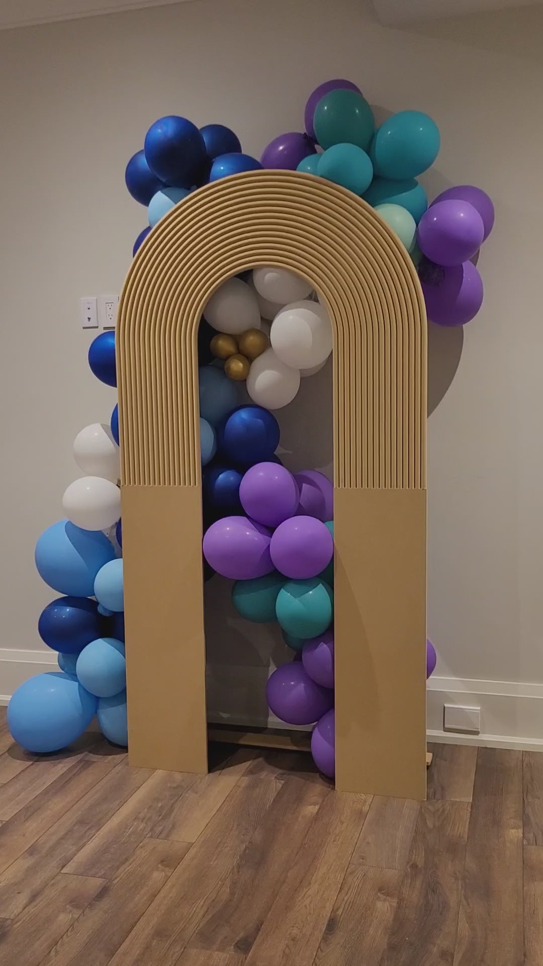 Foldable Open Arch Backdrop Party Supplies.