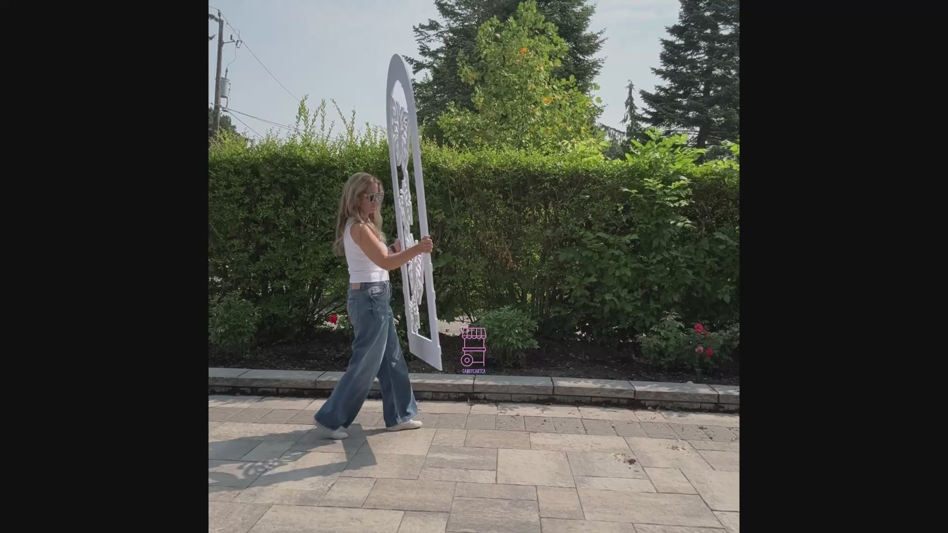 Butterfly Arch Backdrop